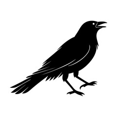 Obraz premium Elegant black crow silhouette in flight a striking graphic for nature and wildlife themes