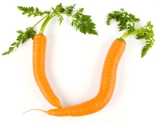Two carrots in a U shape