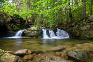 Crystal Clear Mountain Stream in the Karkonosze Mountains