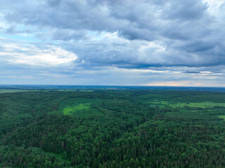 A panoramic aerial shot of a vast, dense green forest stretching to the horizon, with a small lake and a village visible in the distance.