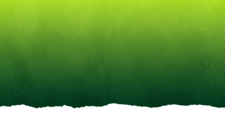 Abstract seamless lime to forest green gradient, grunge texture, distressed details, gritty particulates, organic abrasions, soft studio lighting, white hand-torn border for copy space, concept of