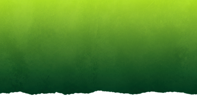 Abstract seamless lime to forest green gradient, grunge texture, distressed details, gritty particulates, organic abrasions, soft studio lighting, white hand-torn border for copy space, concept of