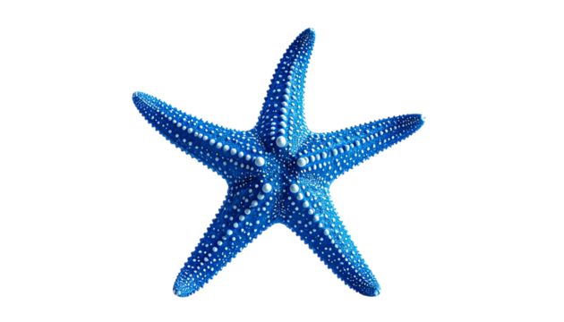 Blue Starfish Shines with transparent background! Adds nautical vibes to design, great for product photography, mockups, and branding.