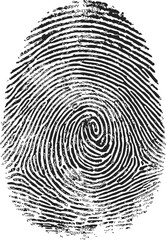 Fingerprint sketch hand drawn style detailed biometric swirl pattern &mdash; stock vector