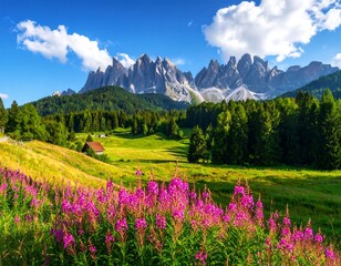 Obraz premium A picturesque valley nestled amongst majestic mountains, bathed in vibrant sunlight, showcasing a lush landscape of green meadows and vibrant pink flowers.