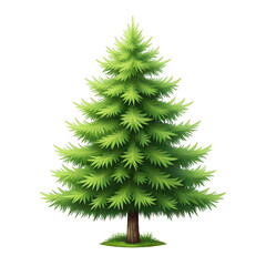 Realistic green pine tree isolated on transparent background