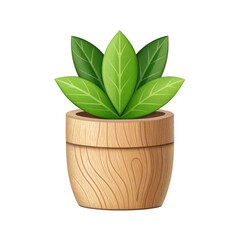 Green plant in a wooden pot isolated on transparent background
