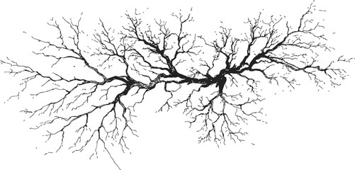 Fototapeta premium Tree branch sketch hand drawn with intricate bare twigs and detailed branching — stock vector
