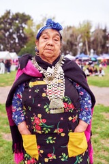 Portrait mapuche woman looking at camera wearing traditional clothing and silver jewelry outdoors