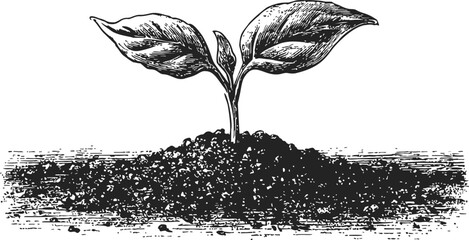 Seedling sketch hand drawn young plant sprouting from soil — stock vector