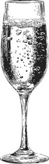 Obraz premium Champagne glass sketch hand drawn with sparkling wine and bubbles — stock vector