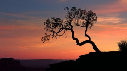 a serene desert landscape at sunset. a tree with a twisted trunk stands prominently in the foreground on a rocky outcrop