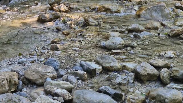 Rapids on a mountain river in the Alps