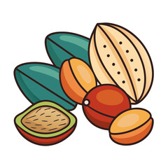 Assortment of tropical fruits and nuts with green leaves