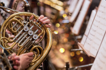 Fototapeta premium French horn instrument, hands playing horn player in philharmonic orchestra