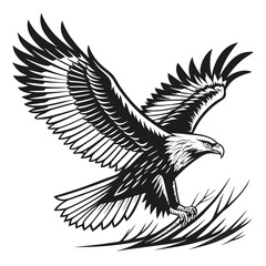 Eagle landing, majestic bird of prey illustration