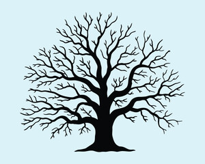 Obraz premium Detailed oak tree silhouette without leaves, showcasing stark natural elegance, perfect for vector clipart, logos, branding, nature designs, educational materials, environmental projects, and creative
