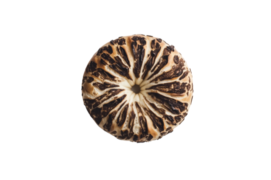 Freshly baked bagel viewed from top isolated on transparent background