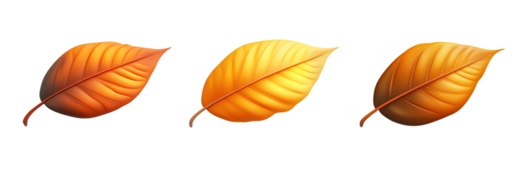 Colorful autumn leaves, vibrant orange and yellow hues, smooth texture, artistic representation, minimalistic background, minimal style PNG