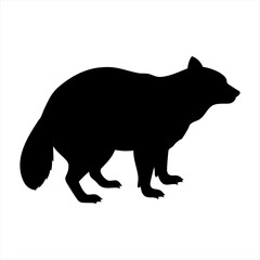 Black silhouette of a raccoon standing on four legs isolated on transparent background