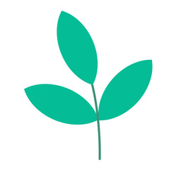 Plant sprout icon vector. Minimal green stem with three leaves, simple eco-friendly nature design element for posters, banners, stickers, logos and modern graphic decoration.