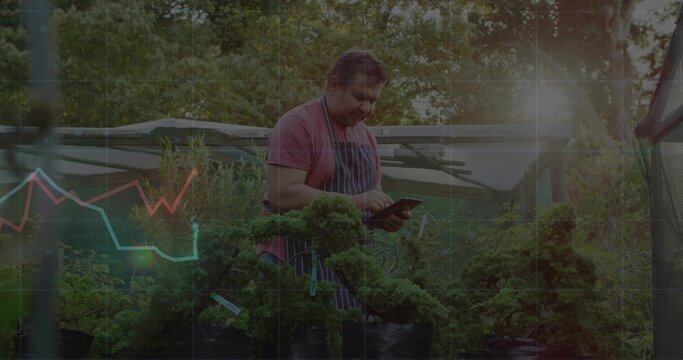 Gardener in red shirt, striped-apron examining tablet under slatted canopy, with bonsai trees