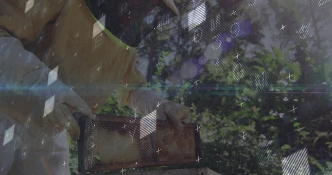 Lifting beekeeper in suit holding wooden honeycomb frame in shaded orchard, with digital overlays