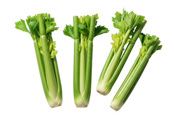 Fresh, verdant green celery stalks with fibrous texture, moisture droplets, and bright leaves, isolated on a transparent background with soft shadows. Concept of clean eating
