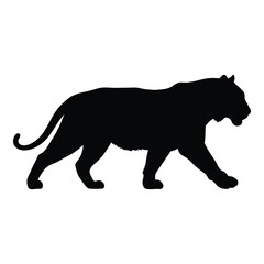 A striking black tiger form walking forward distinct silhouette