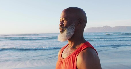 Gazing man in red sleeveless shirt standing at sandy shore, ocean waves, mountain range, copy space