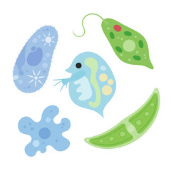 かわいい微生物のイラスト素材