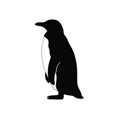 A striking black penguin form against a white background silhouette