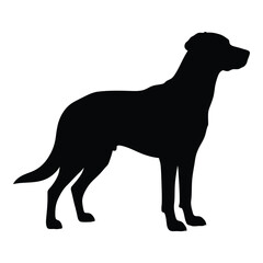 A dark shape of a labrador retriever standing a striking silhouette