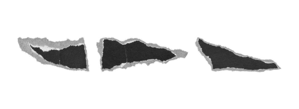 torn paper irregular scraps set, png on transparent background
