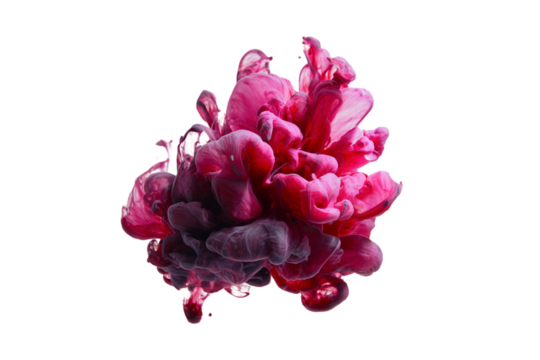 Blooming Red Ink Drop in Water – Transparent Background