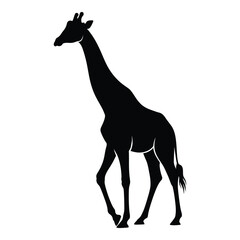 A striking giraffe profile stands elegantly against a white background silhouette