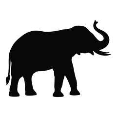 A striking black elephant form against white a beautiful silhouette