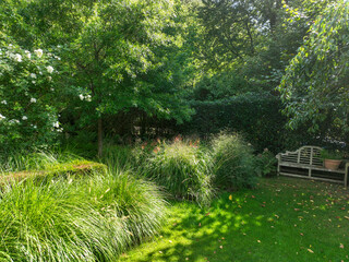English green garden multiple type of trees and plants during sunny summer season