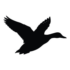 A dark bird in flight wings spread wide against a white background silhouette