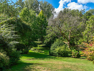 English green garden multiple type of trees and plants during sunny summer season