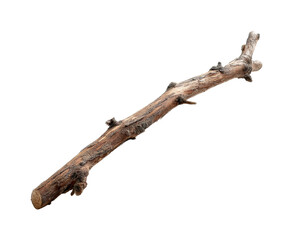 Fototapeta premium Collecting twigs for crafts environment nature scene PNG, isolated on transparent background