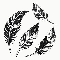 Obraz premium feather vector set