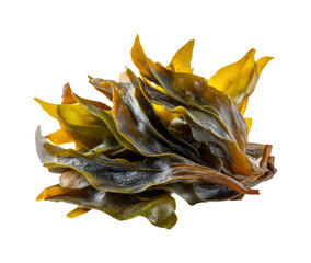 Fototapeta premium Harvesting seaweed coastal region food nature PNG, isolated on transparent background
