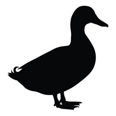 A striking black duck shape stands prominently as a dark silhouette
