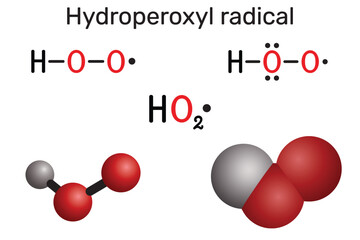 Hydroperoxyl radical molecule. Reactive oxygen species (ROS). Chemical structure and models. Vector illustration