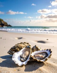 Fresh oysters on a sandy beach, ocean backdrop