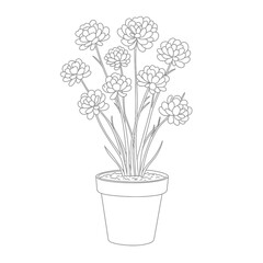 Botanical line drawing of potted flowering plant with clustered blooms and lance-shaped leaves on a white background. EPS 10.