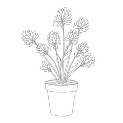 Botanical line drawing of potted flowering plant with clustered blooms and lance-shaped leaves on a white background. EPS 10.