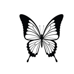Elegant butterfly silhouette with ornate symmetrical wings on a white background. EPS 10.