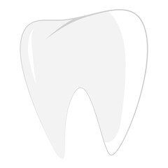 Tooth Vector